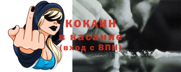 молекула духа Арсеньев