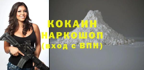 шишки Баксан