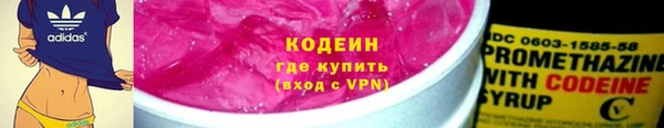молекула духа Арсеньев