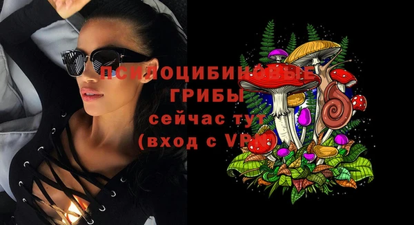 молекула духа Арсеньев