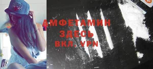 молекула духа Арсеньев