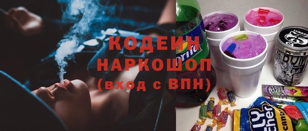 молекула духа Арсеньев